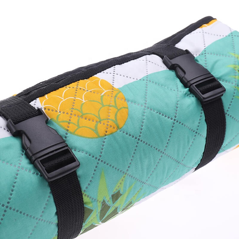 Picnic Blanket 1 1 1