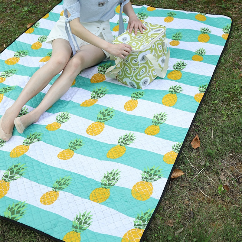 Picnic Blanket 1 3