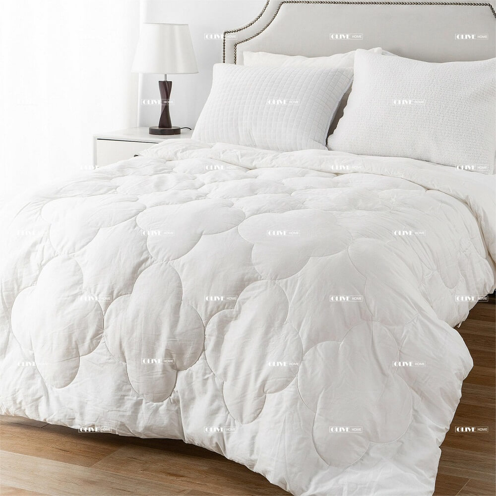 Down Duvet Insert