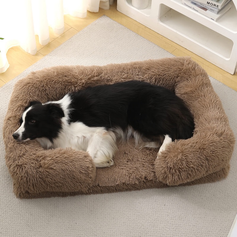 Border Collie on a coffee brown calming long plush dog bed, customizable colors and fabrics for global pet product importers