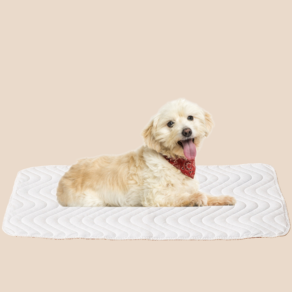 Custom Print Waterproof Absorbent Leakproof Dog Puppy Pads Pee Pads 3