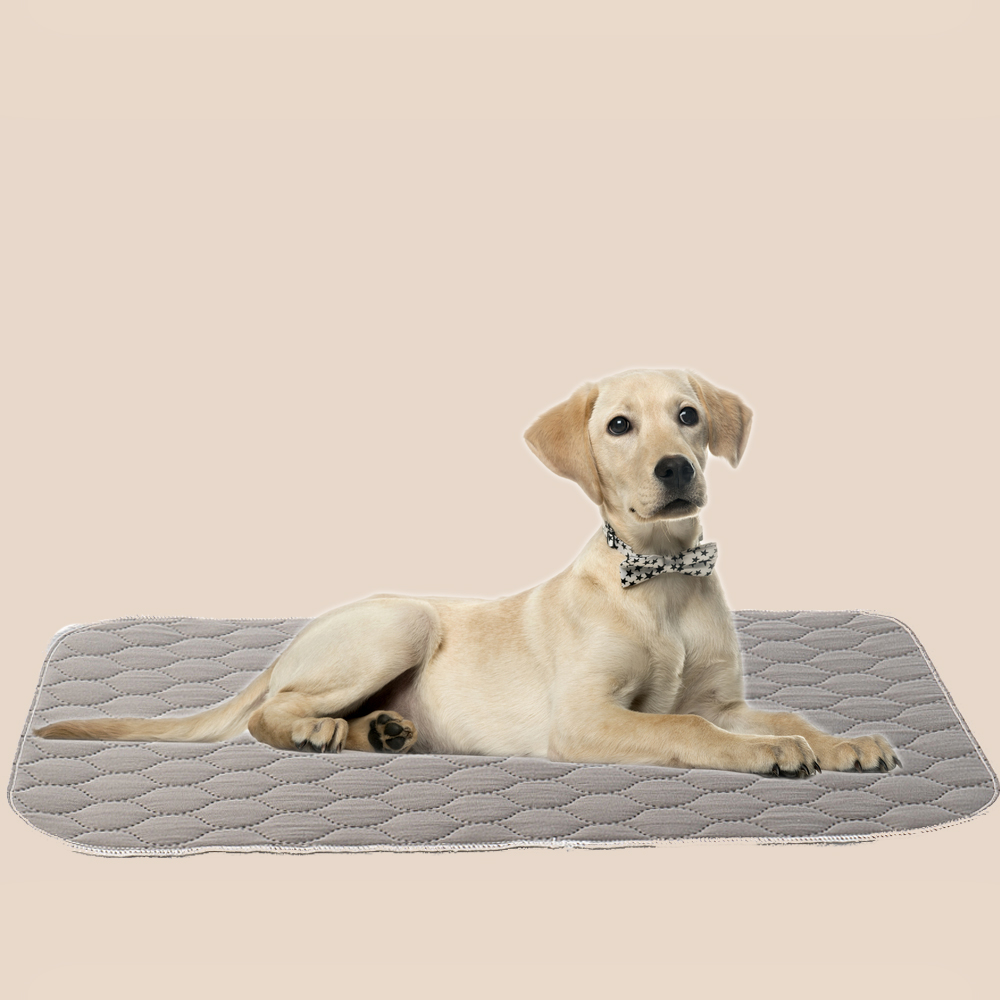 Custom Print Waterproof Absorbent Leakproof Dog Puppy Pads Pee Pads 6